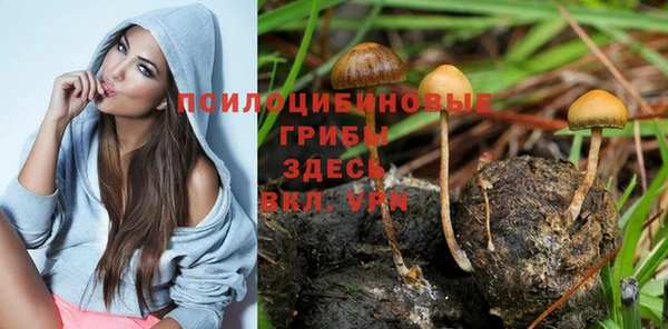 гашиш Арсеньев